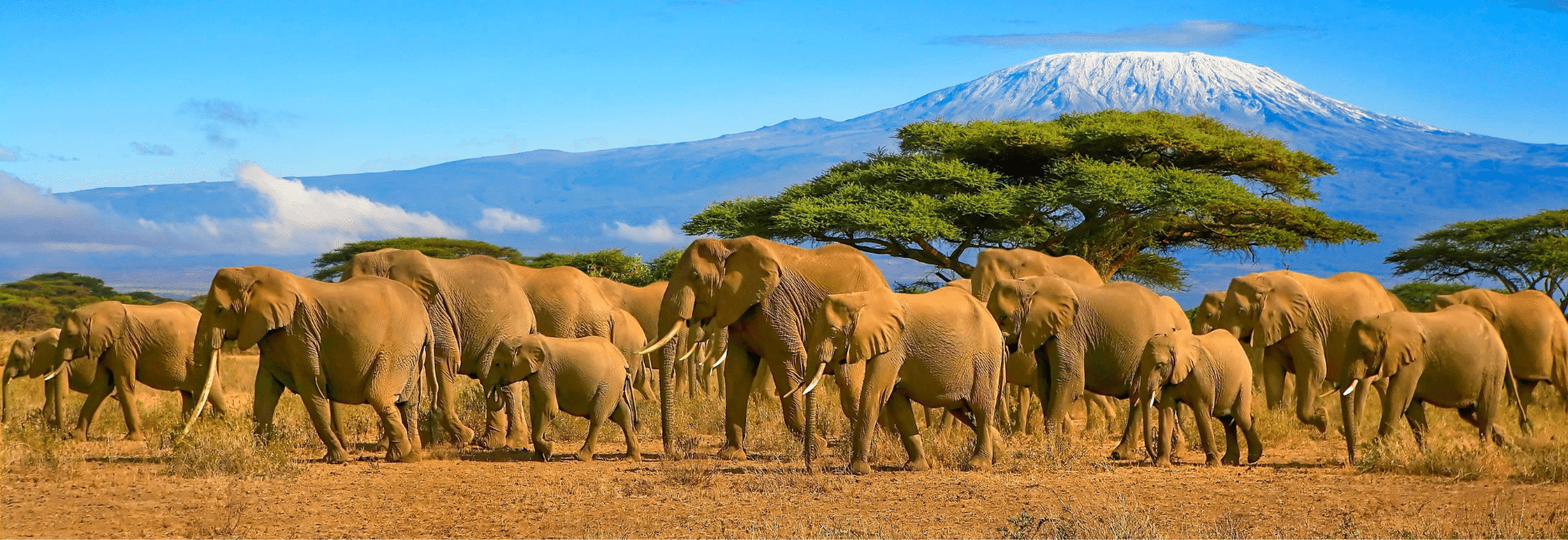 Tanzania